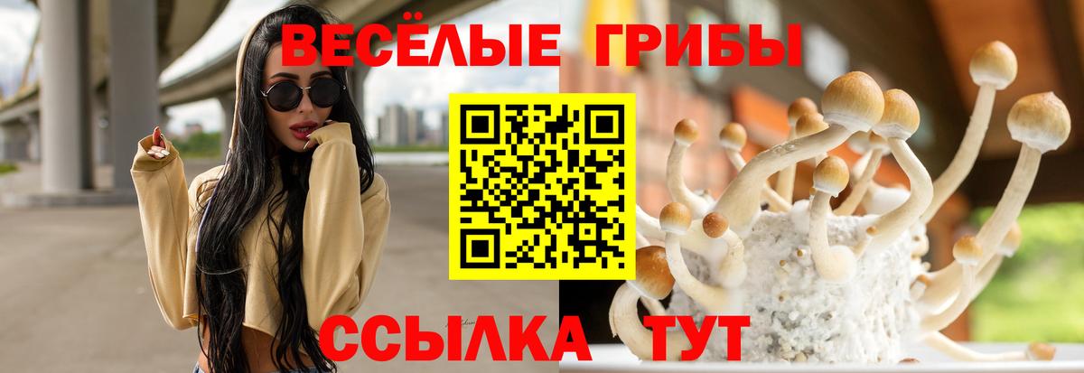 дарнет шоп  Вход с VPN  Псилоцибиновые грибы Magic Shrooms  Назрань  Галлюциногенные грибы мухоморы 